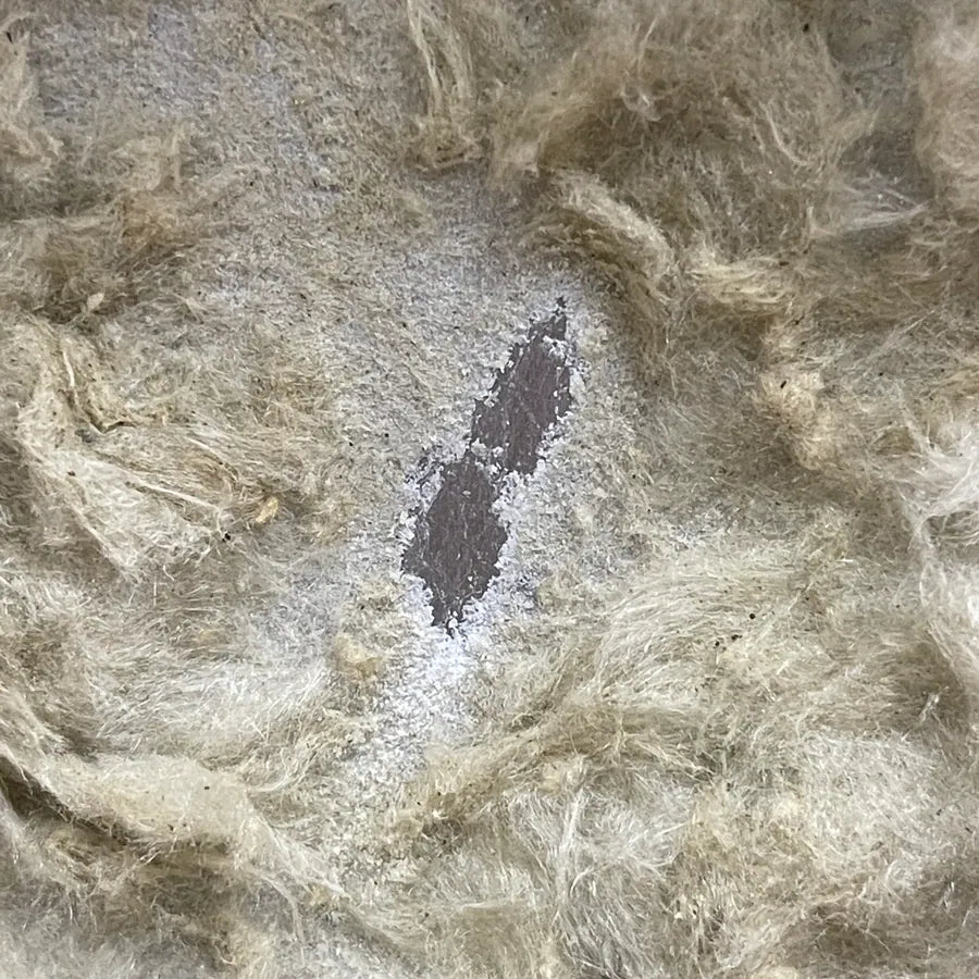 Sichtbare Eiskristalle an der Stahlplatte unter der Mineralwolle nach dem Laborversuch